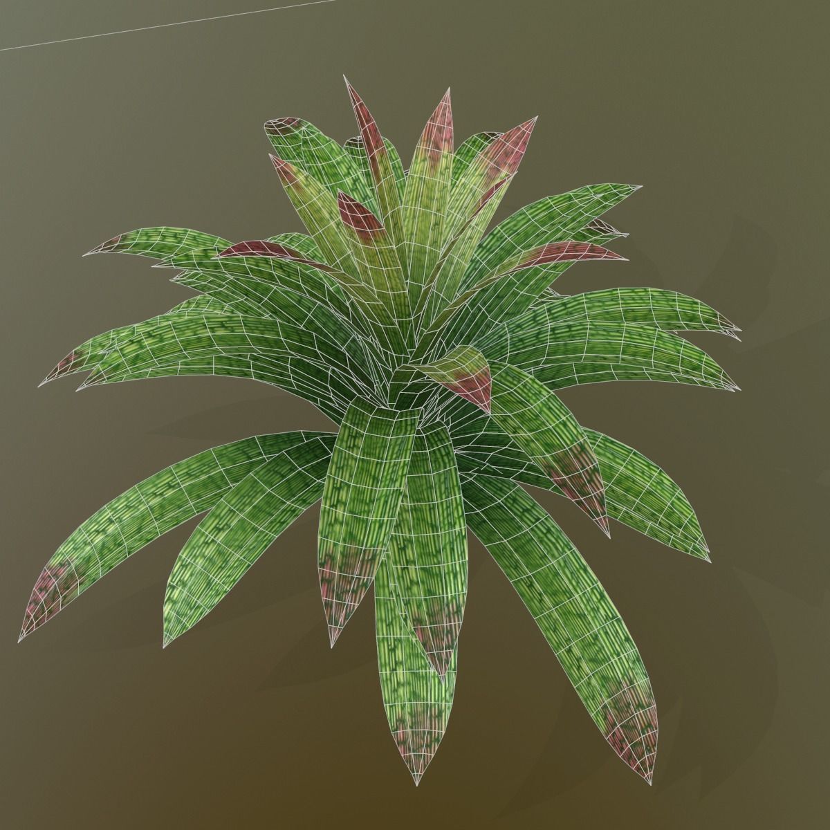 Vriesea gigantea 3D model_2