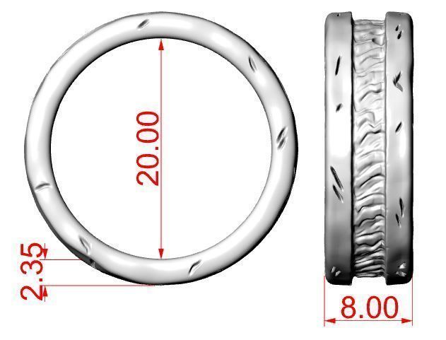 Old ring 3D print model_8