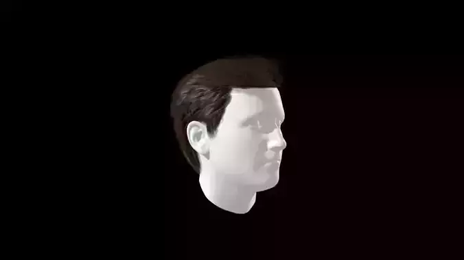 Male Hair Wig formal style Low-poly 3D model