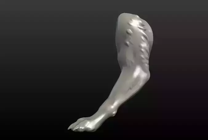 Wolf Paw 3D print model