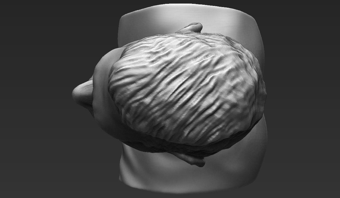 Lionel Messi bust ready for full color 3D printing 3D print model_34