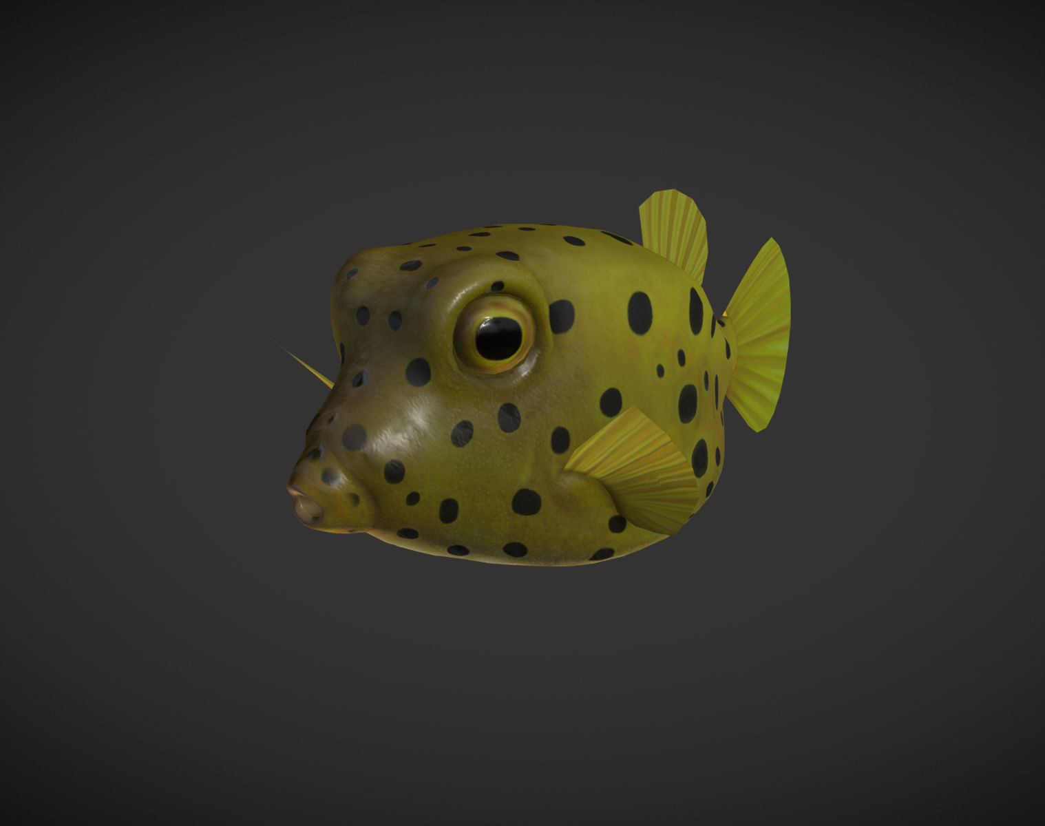 Puffer fish 01 Low-poly 3D model_1
