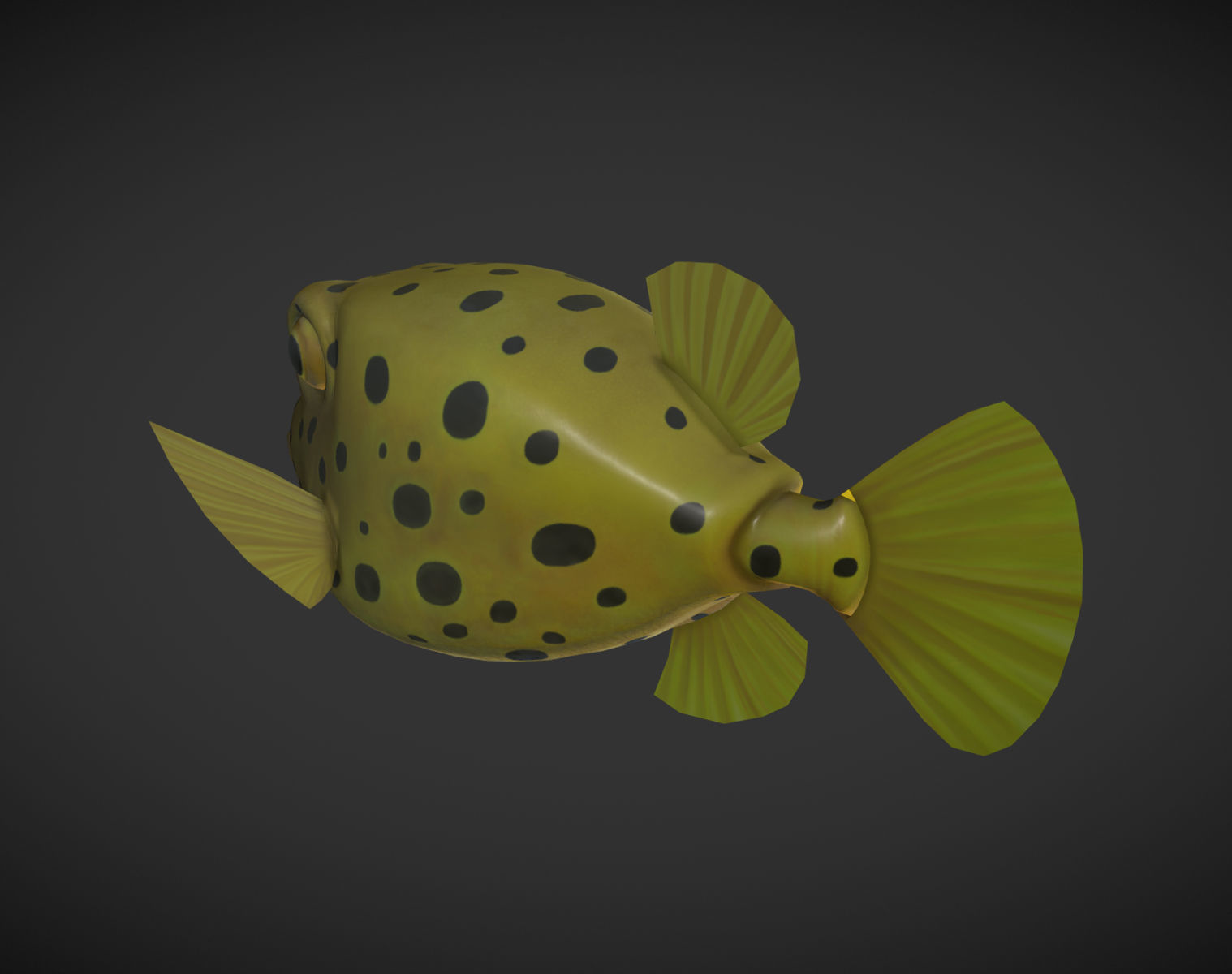 Puffer fish 01 Low-poly 3D model_2