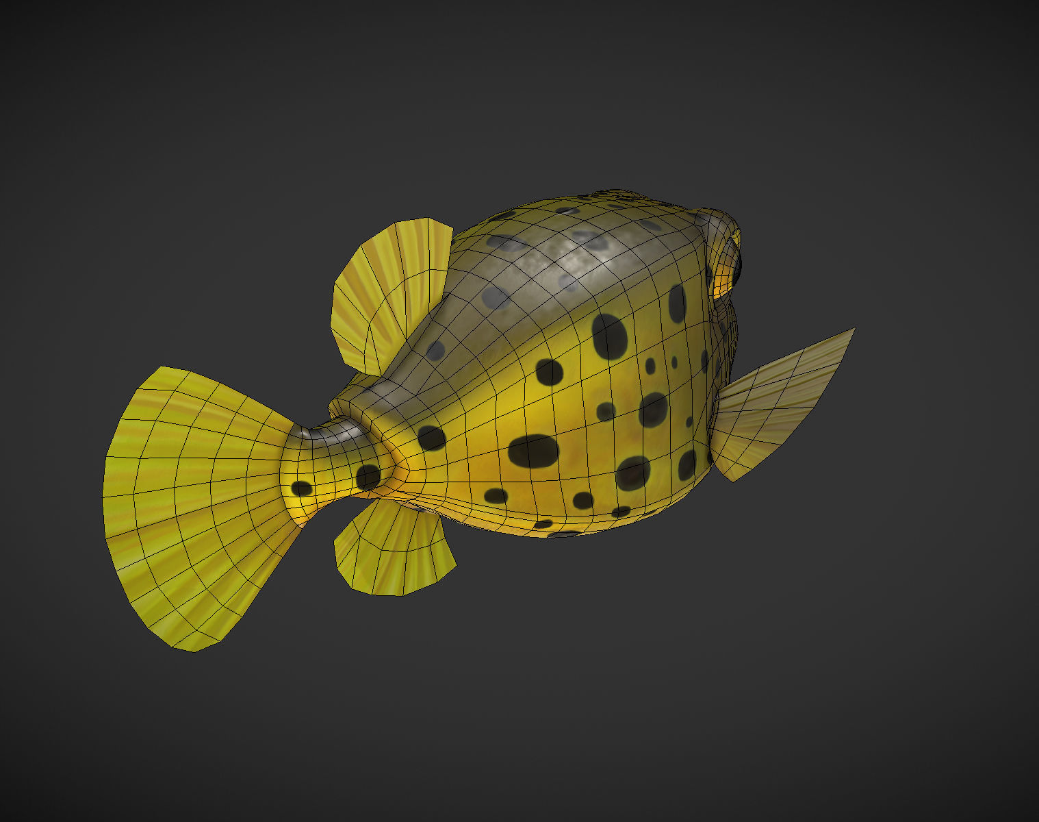 Puffer fish 01 Low-poly 3D model_7