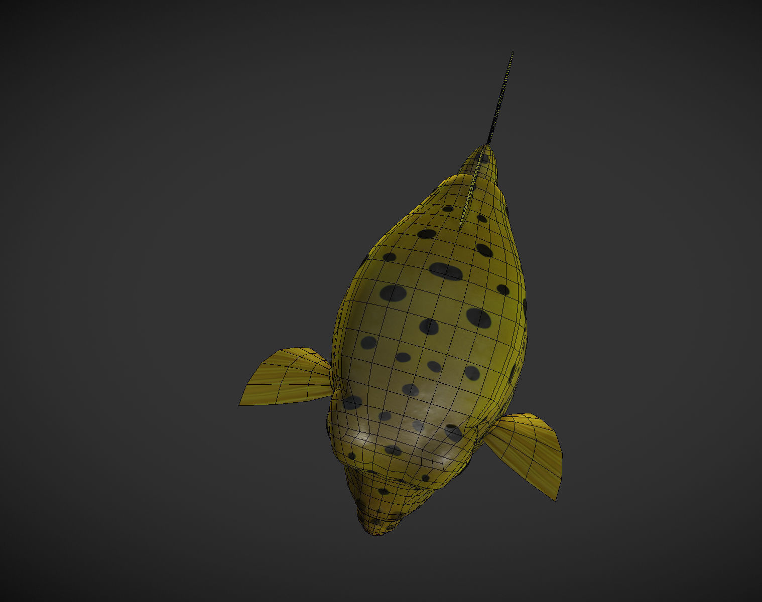 Puffer fish 01 Low-poly 3D model_8