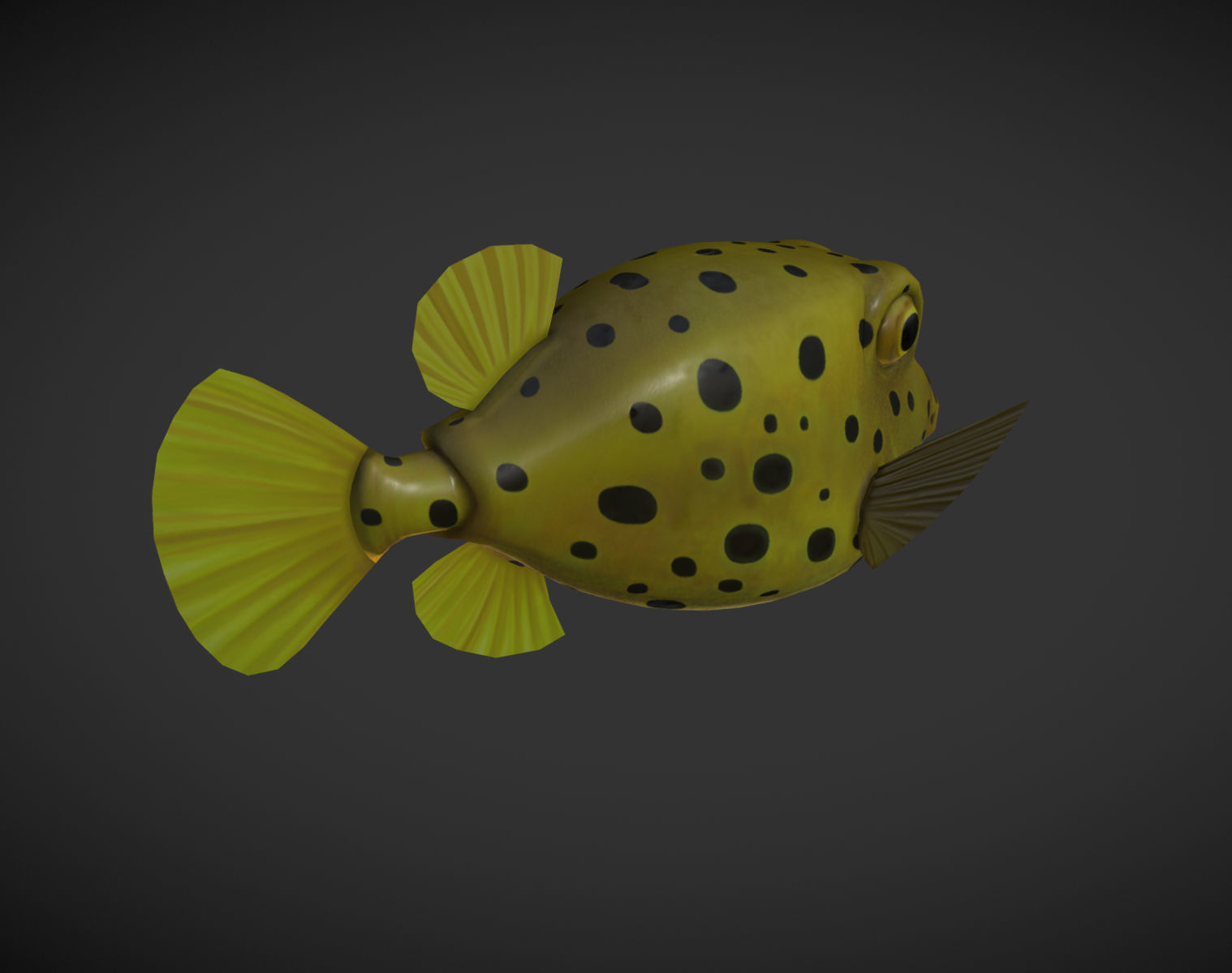 Puffer fish 01 Low-poly 3D model_3