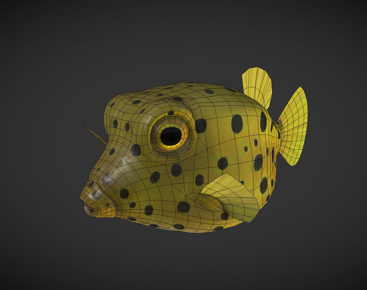 Puffer fish 01 Low-poly 3D model_5