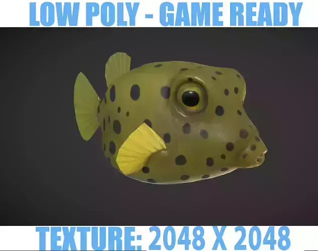 Puffer fish 01 Low-poly 3D model