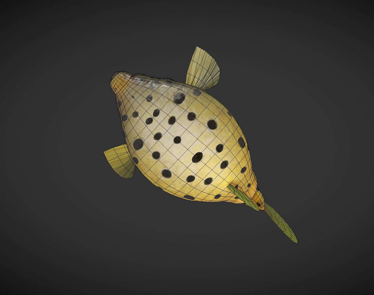 Puffer fish 01 Low-poly 3D model_9