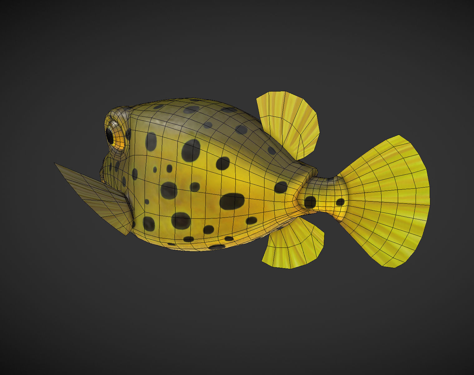Puffer fish 01 Low-poly 3D model_6