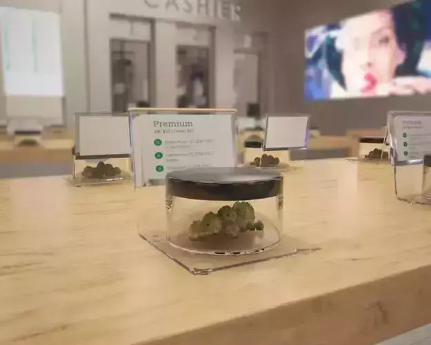 Marijuana Cannabis  3D model