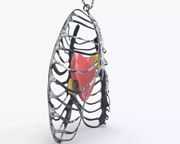 Necklace Rib Cage Heart