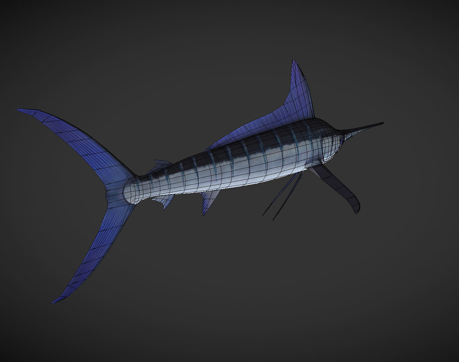 Swordfish marlin Low-poly 3D model_3