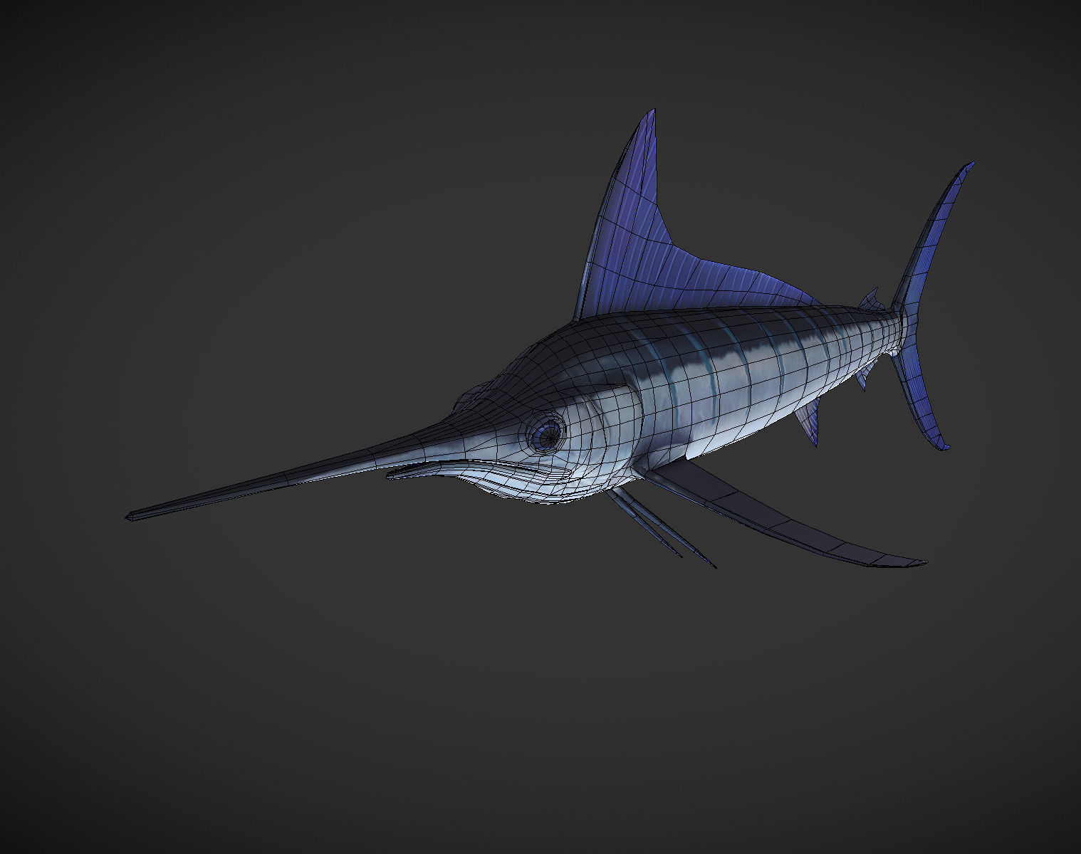 Swordfish marlin Low-poly 3D model_2