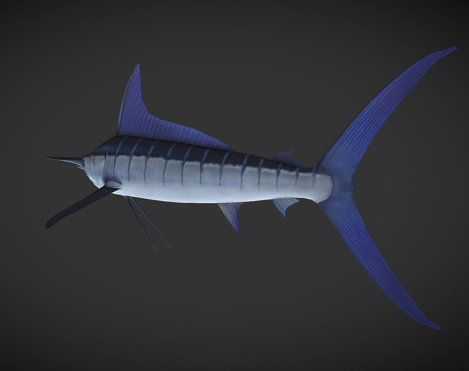 Swordfish marlin Low-poly 3D model_5