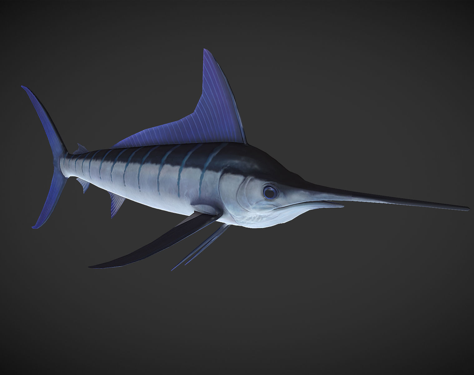 Swordfish marlin Low-poly 3D model_1