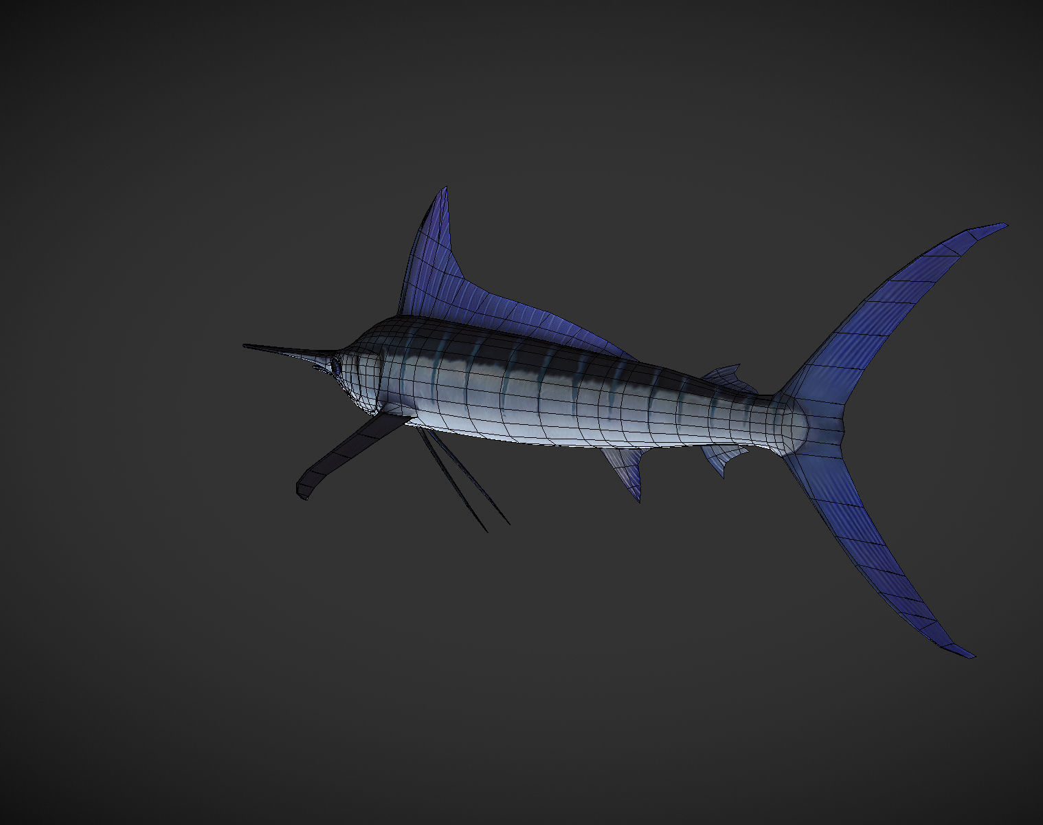Swordfish marlin Low-poly 3D model_9