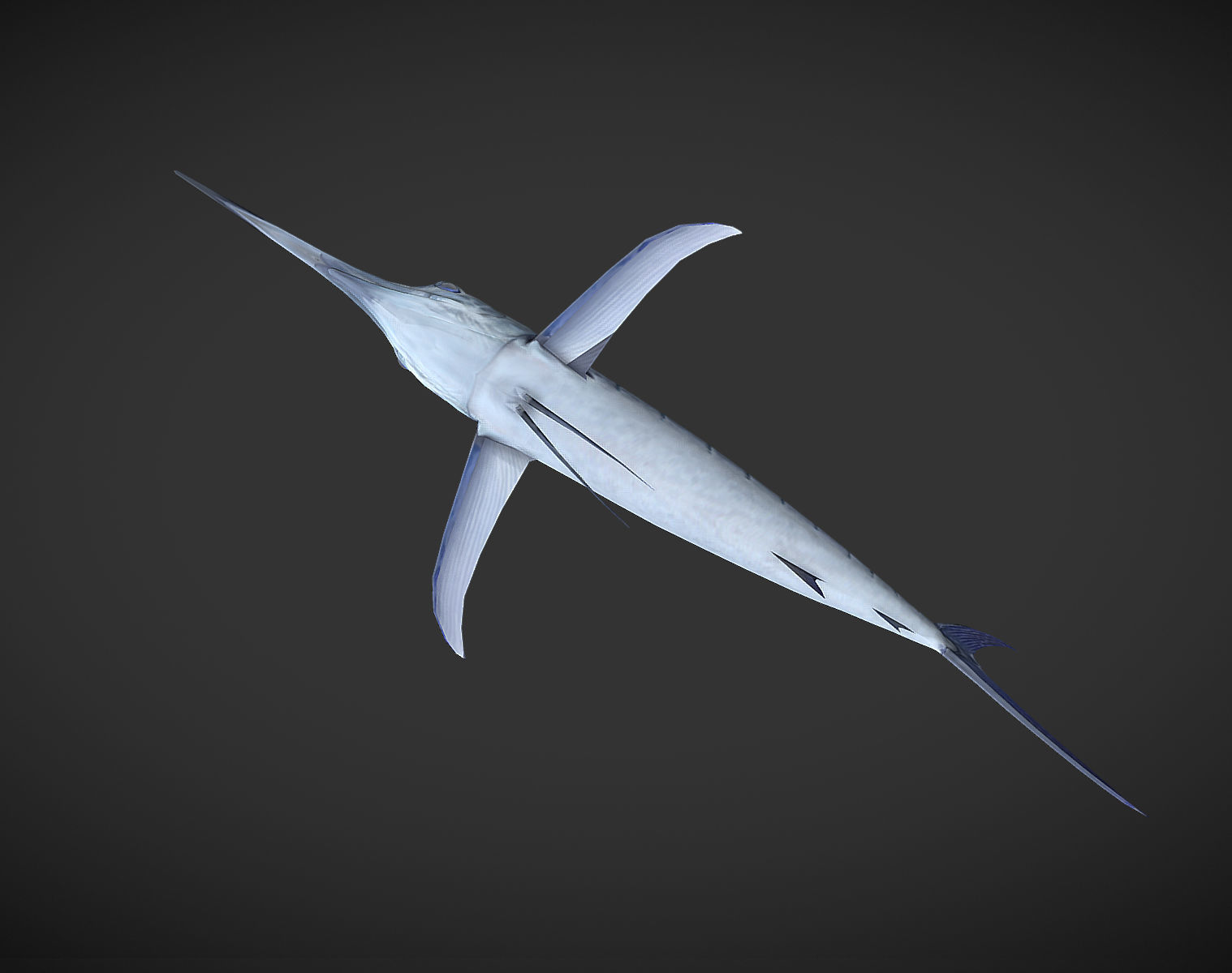 Swordfish marlin Low-poly 3D model_6