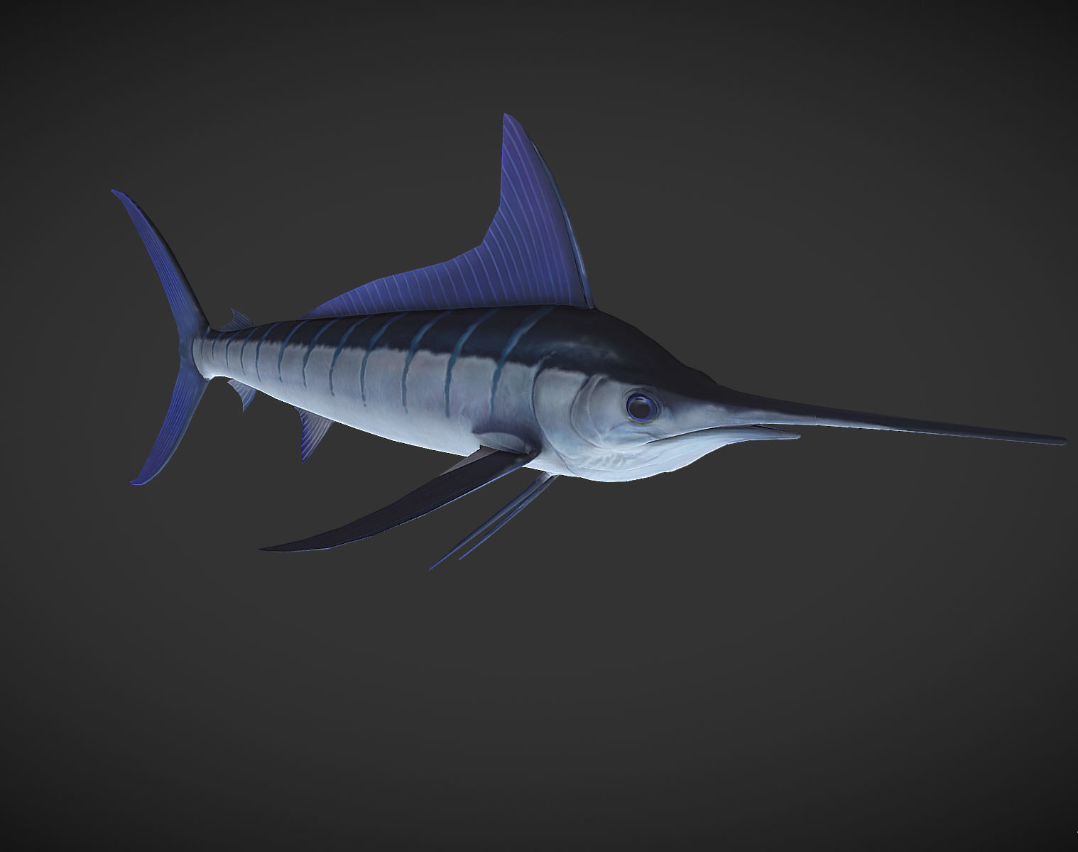 Swordfish marlin Low-poly 3D model_4