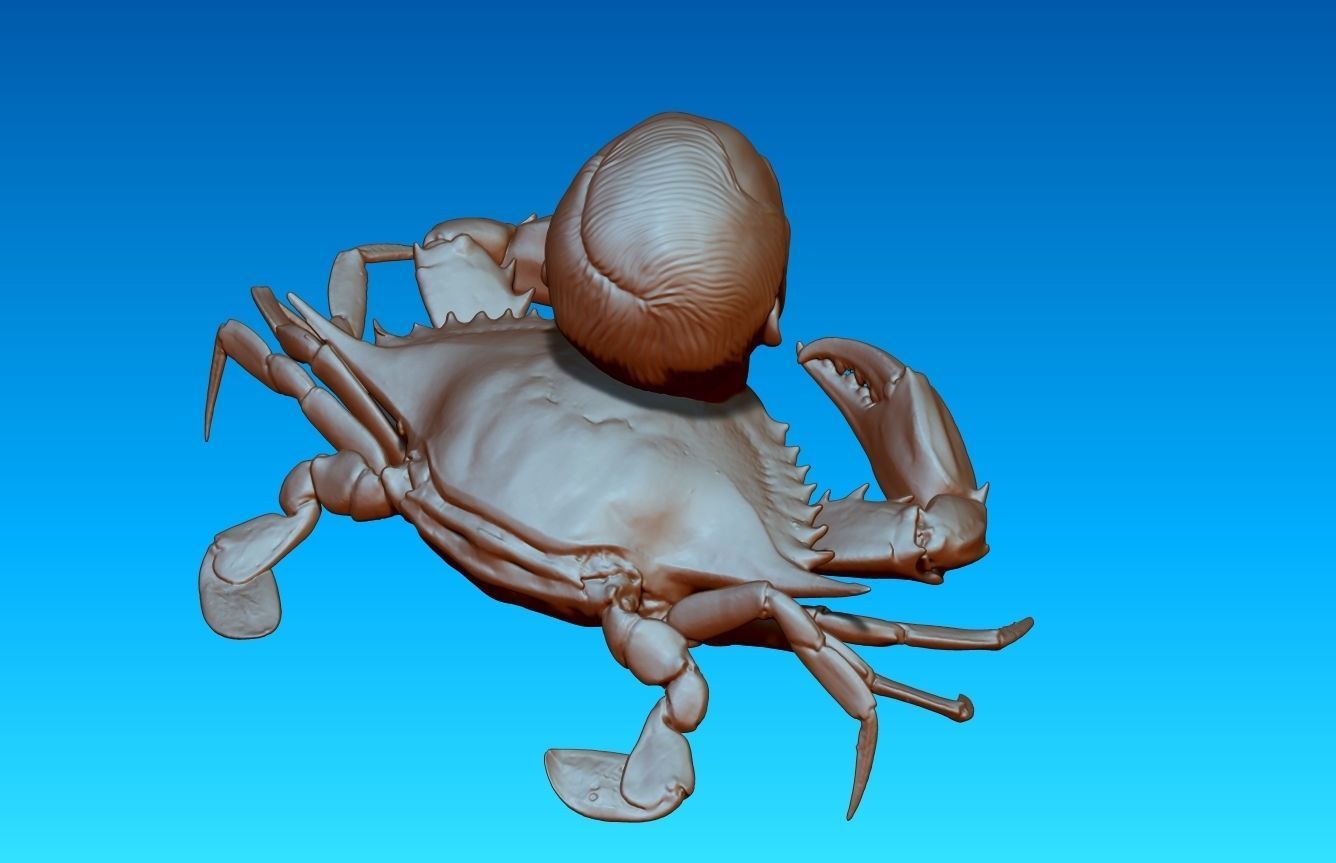 Putin Crab 3D print model_4