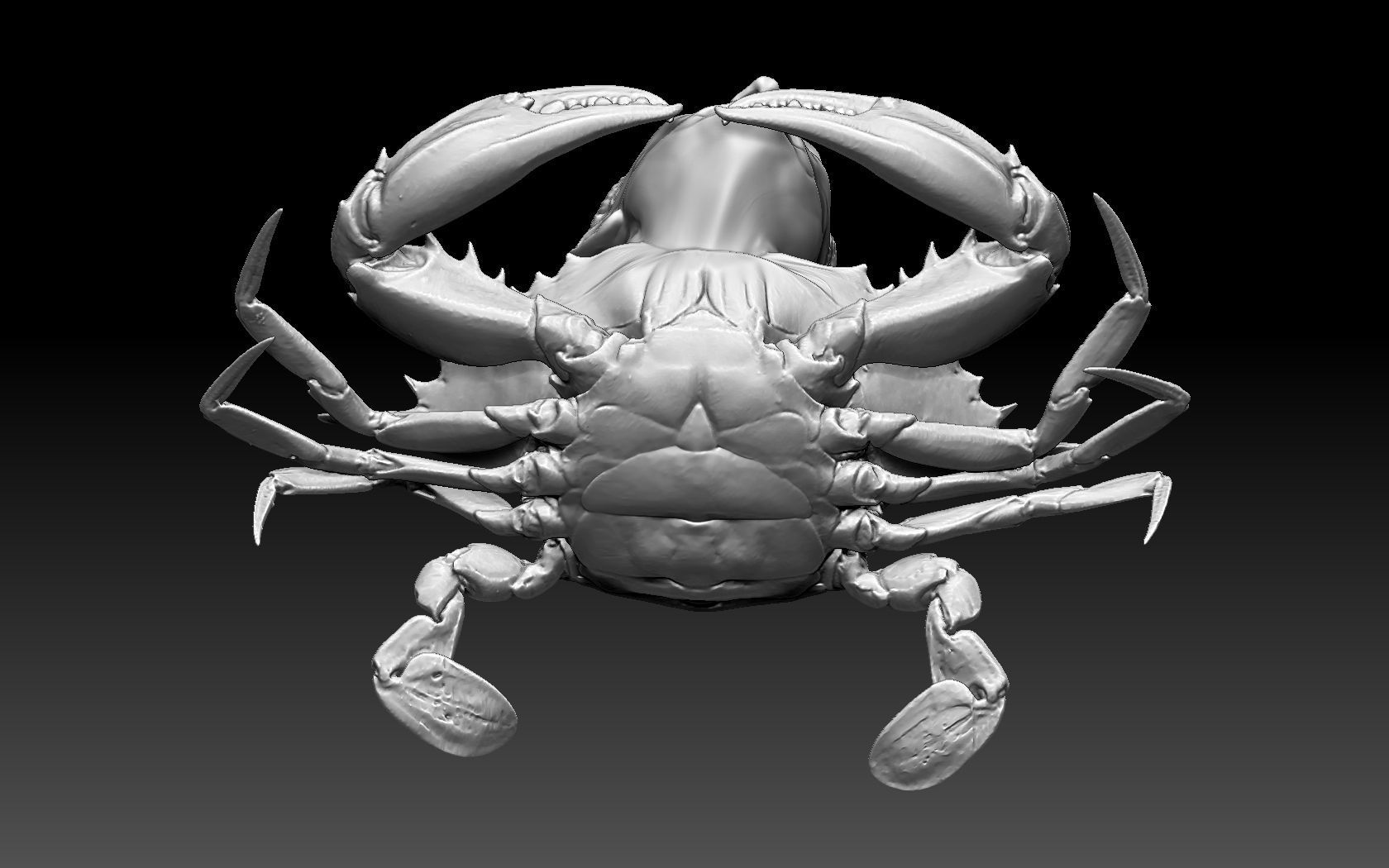 Putin Crab 3D print model_12