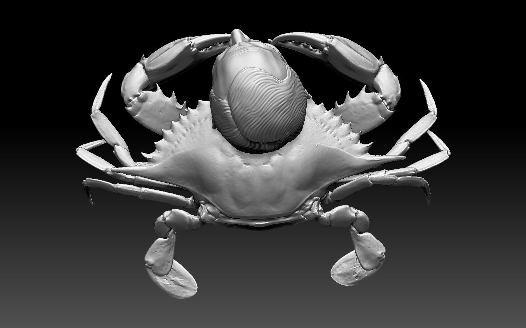 Putin Crab 3D print model_13