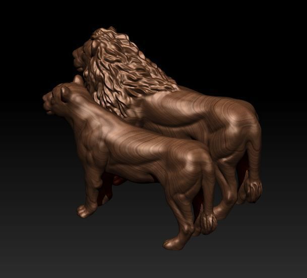 lion lioness 3D model_2