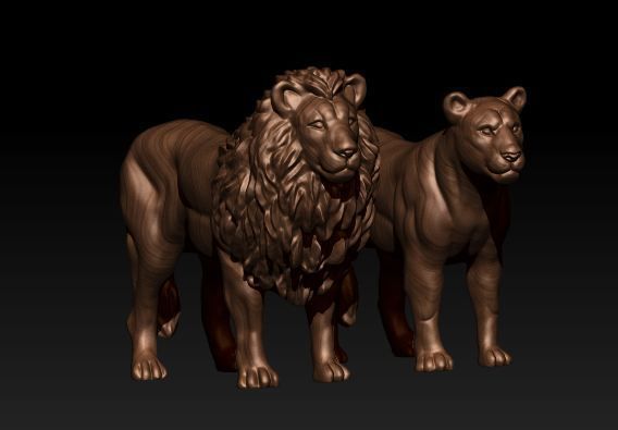lion lioness 3D model_1