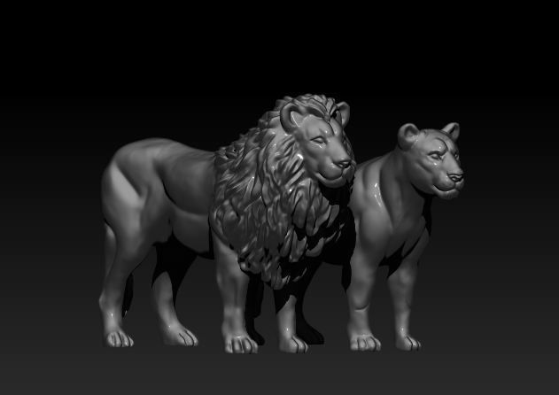 lion lioness 3D model_6