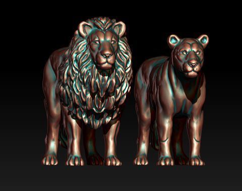 lion lioness 3D model_4