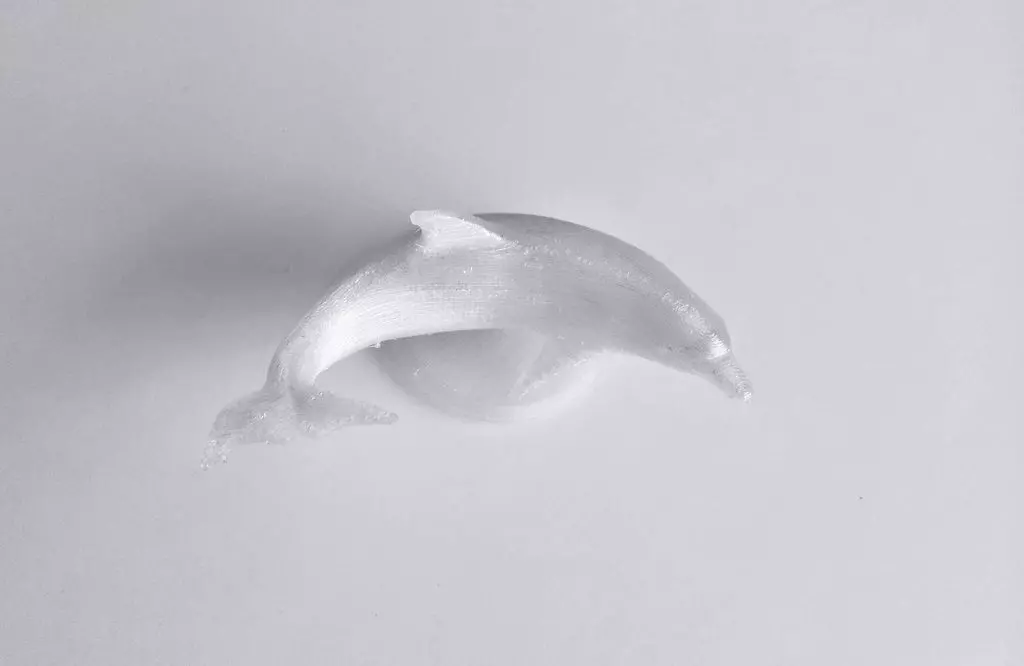 Dolphin Free 3D print model_0