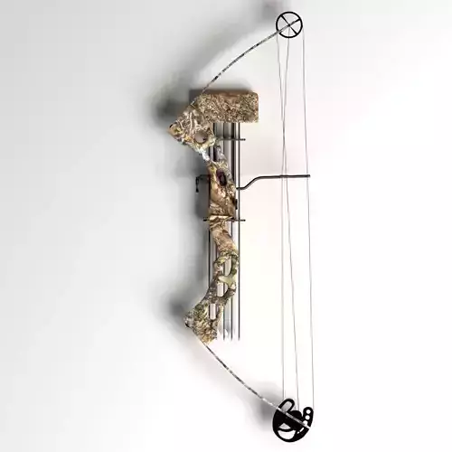 PL Compound Bow
