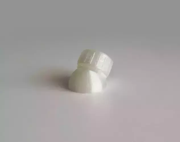 Bottle and Screw Cap