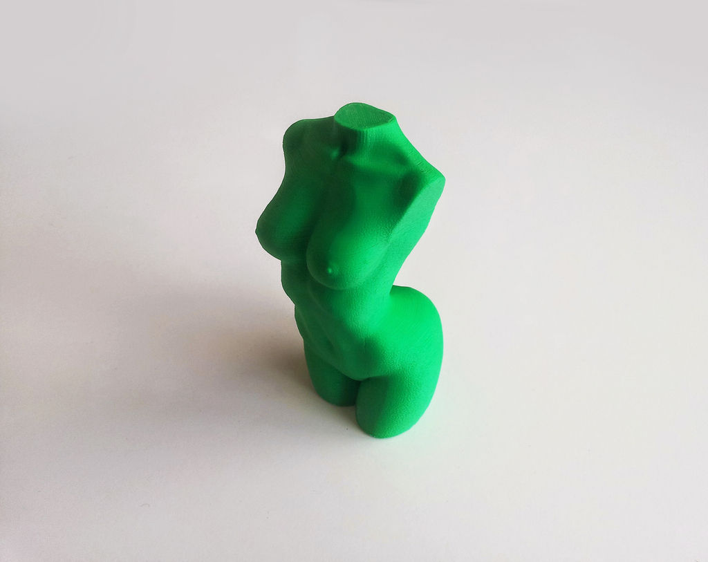Woman Body - Polygon Reduction Free 3D print model_6