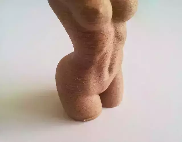 Woman Body - Polygon Reduction Free 3D print model