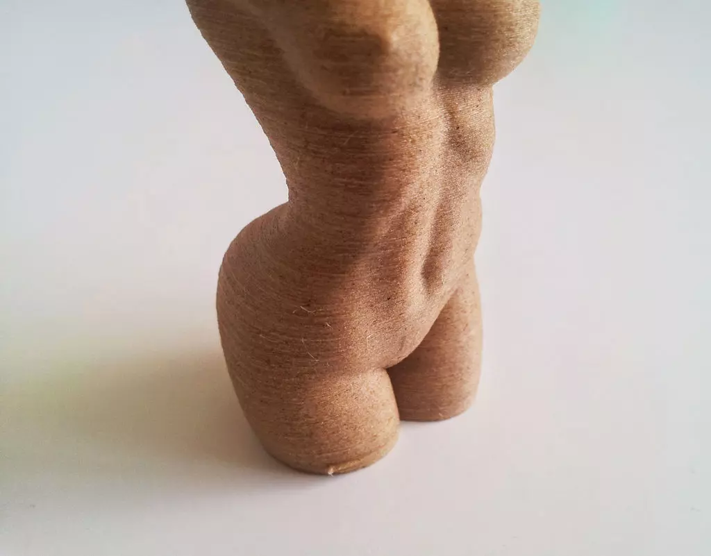 Woman Body - Polygon Reduction Free 3D print model_0