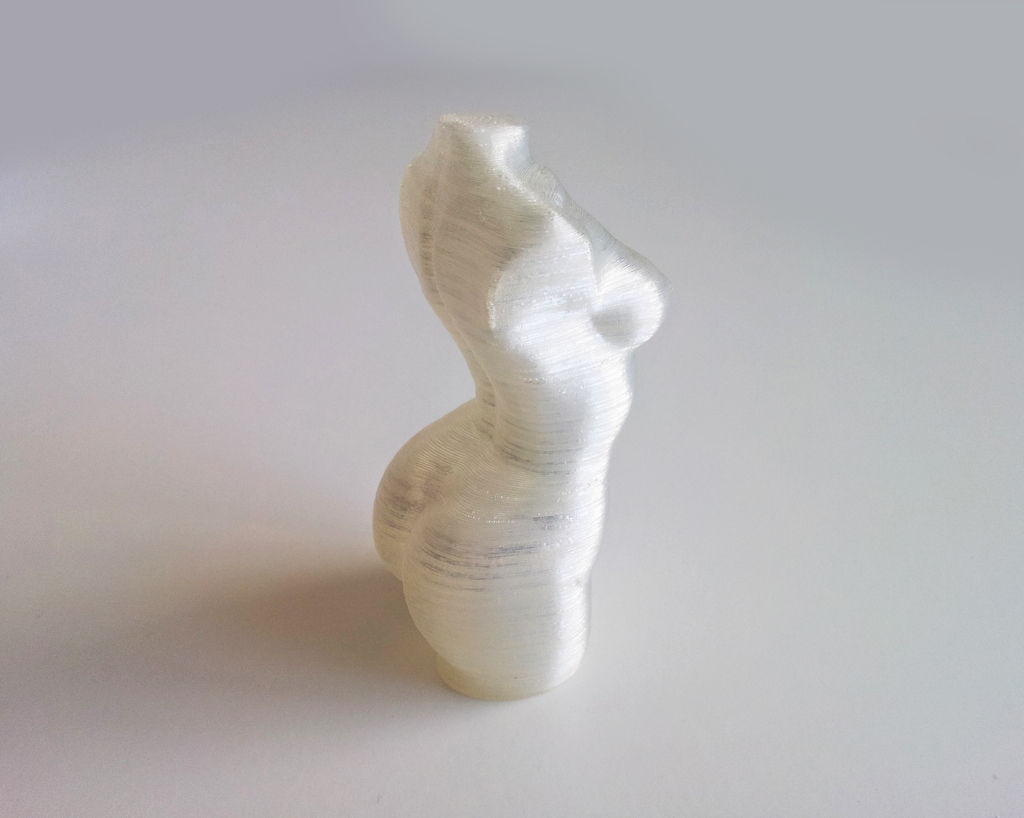 Woman Body - Polygon Reduction Free 3D print model_8