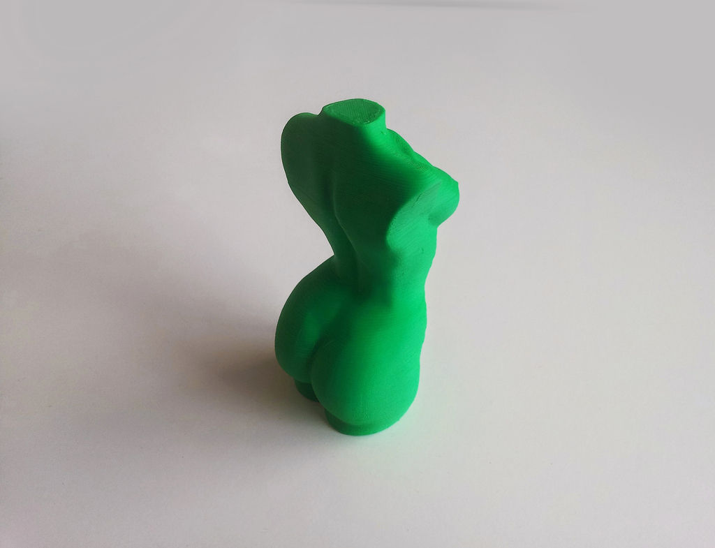 Woman Body - Polygon Reduction Free 3D print model_7