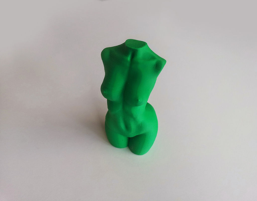 Woman Body - Polygon Reduction Free 3D print model_5