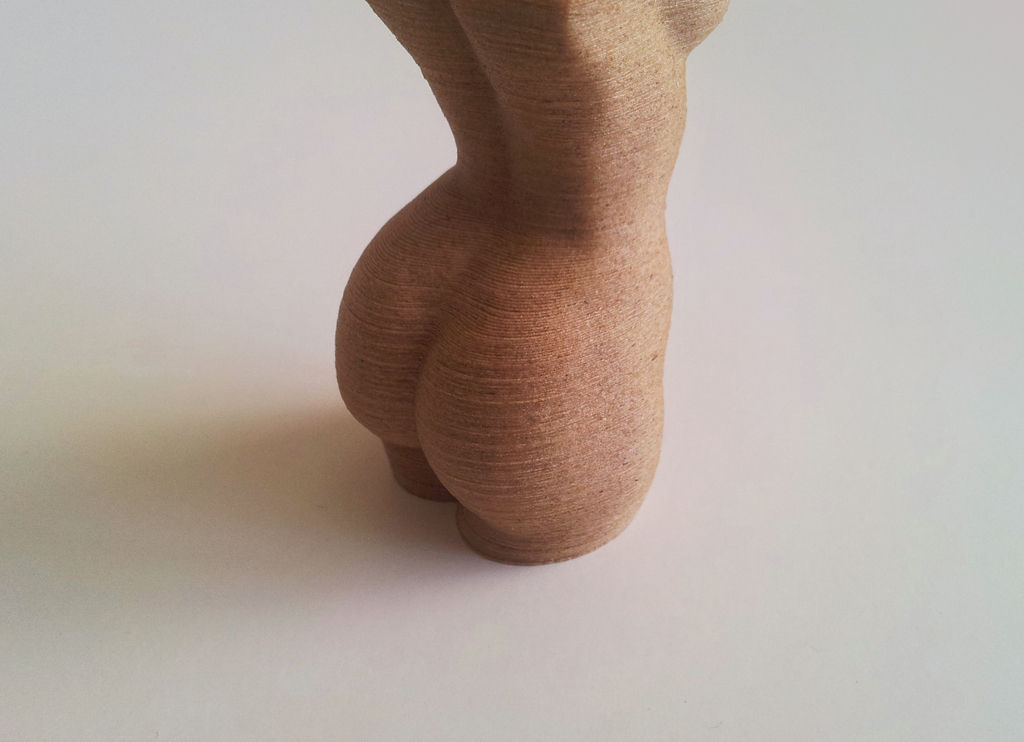 Woman Body - Polygon Reduction Free 3D print model_4