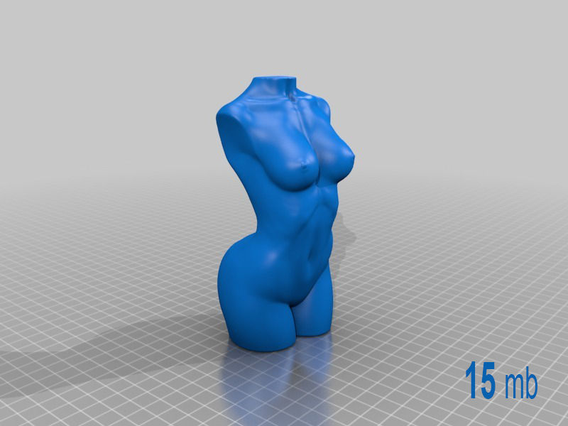 Woman Body - Polygon Reduction Free 3D print model_2
