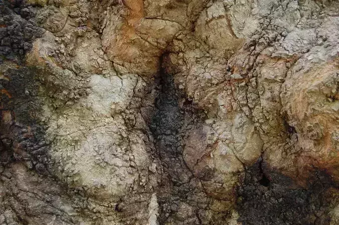 Landscape bark of tree Free low-poly 3D model