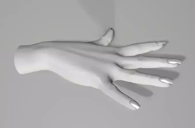 Hand 3d model Right Withoat Textur 3D model