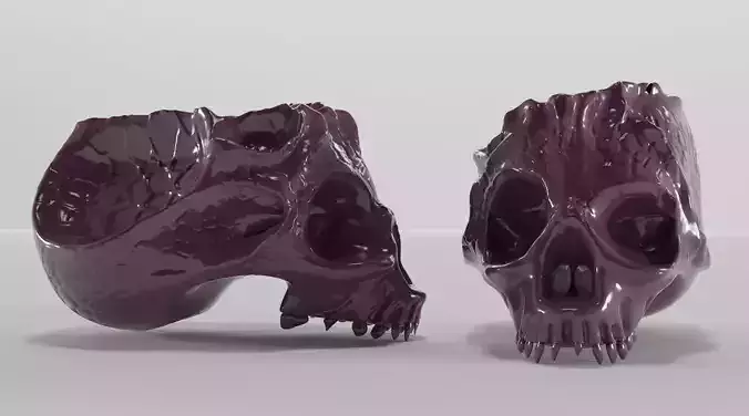 Bone skull ashtray 3D model