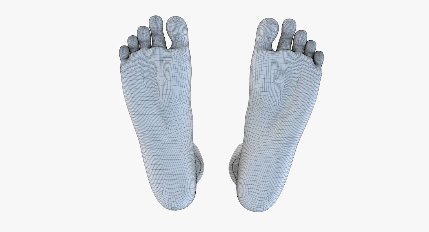 Feet model pair of 3D model_13
