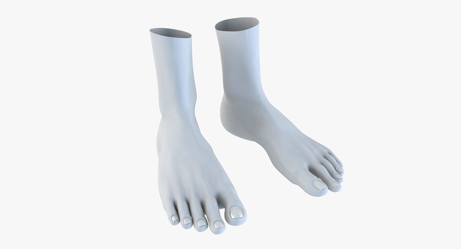Feet model pair of 3D model_3