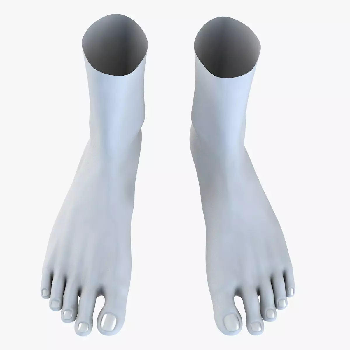 Feet model pair of 3D model_0
