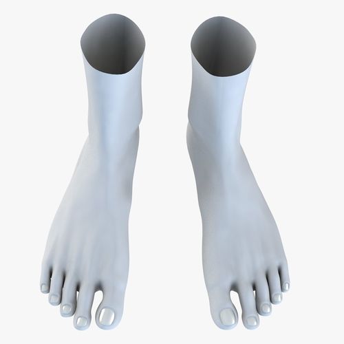 Feet model pair of 3D model