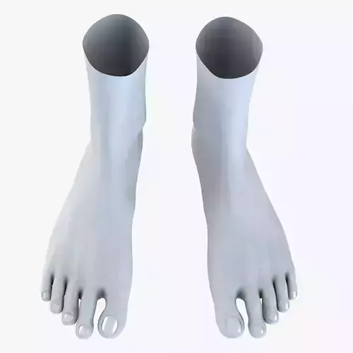 Feet model pair of 3D model