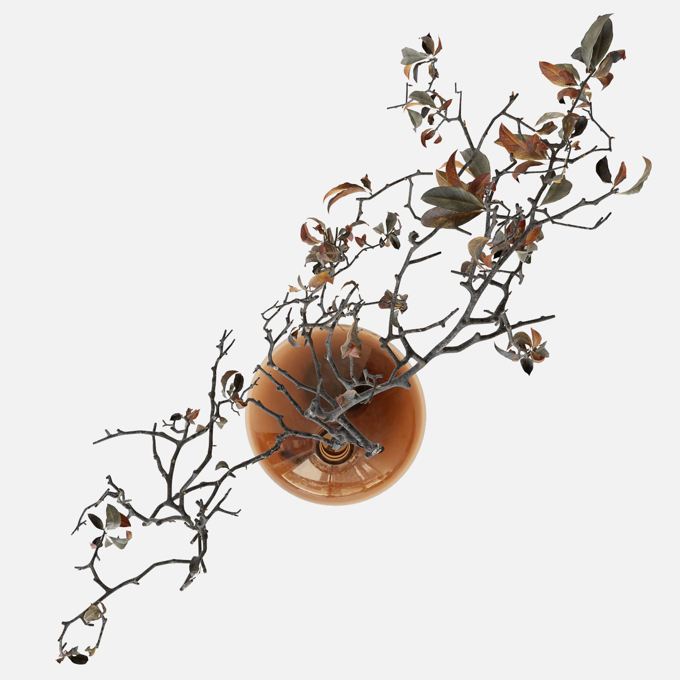 Branch in brown bottle 3D model_5